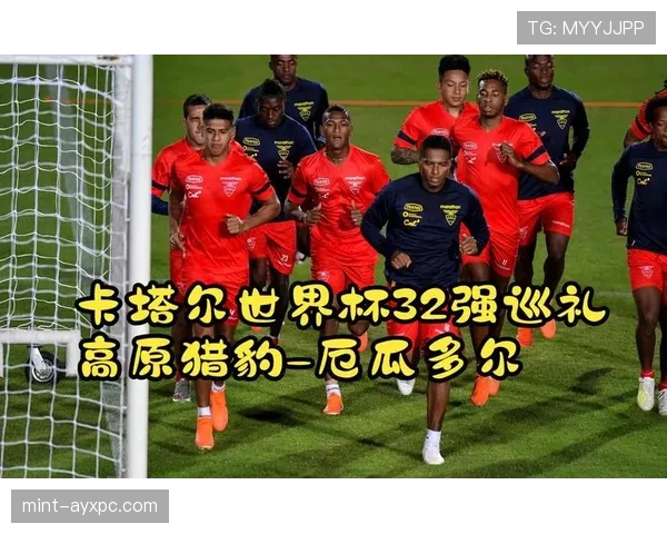 厄瓜多尔2026世界杯小组赛突围前景如何 高原优势能否再创奇迹