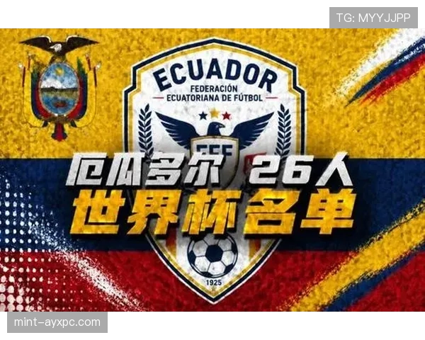 厄瓜多尔2026世界杯阵容预测 凯塞多领衔青年军能否再创黑马奇迹